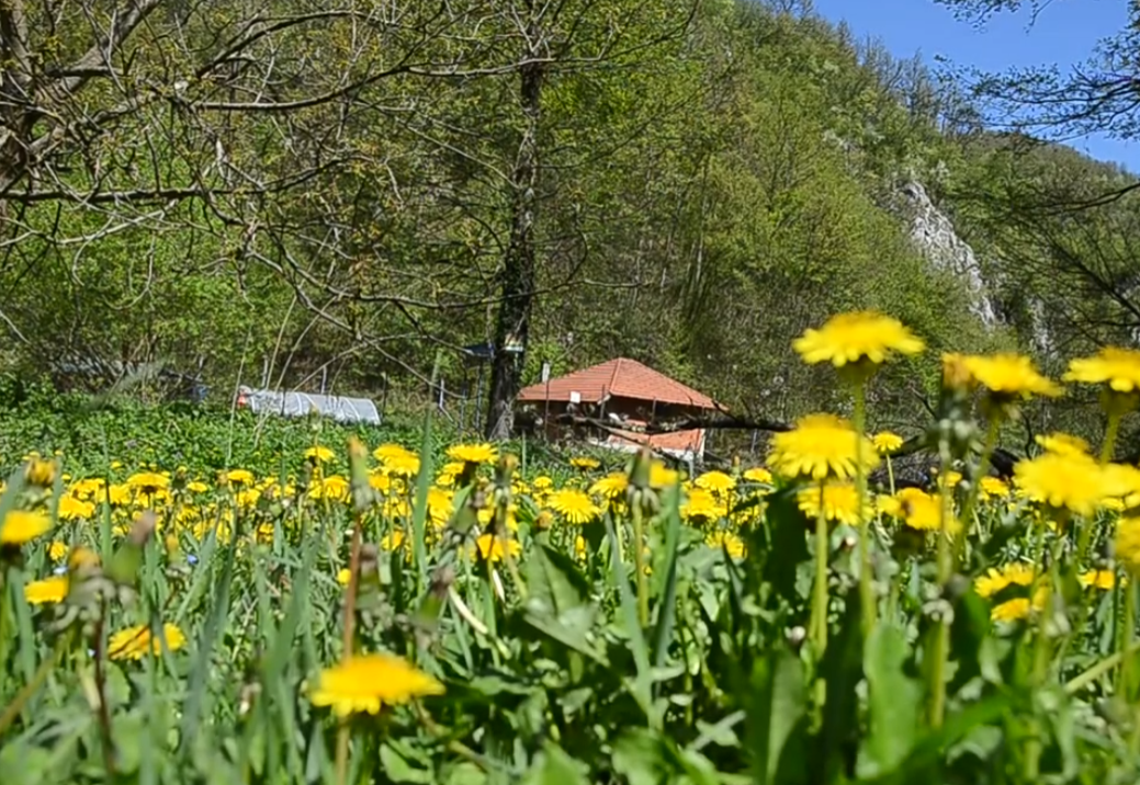 Ivanjica (1).png
