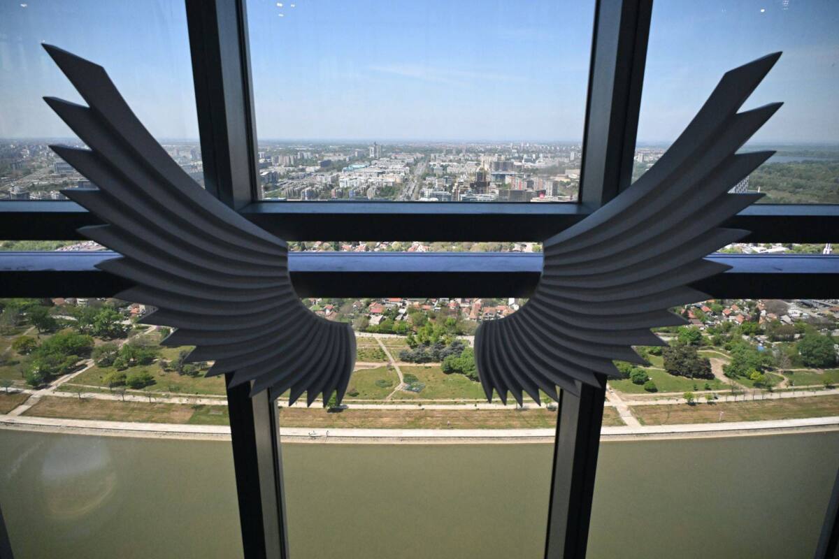 x04 Beta Dimitrije Goll.jpg