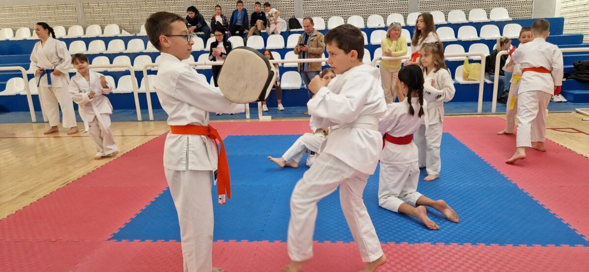 Mali sajam sporta Surdulica