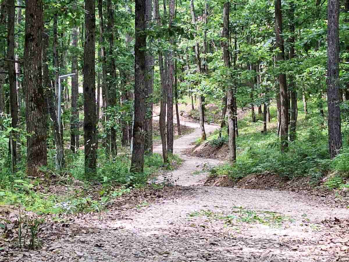 Staza zdravlja u Pribojskoj Banji.jpg