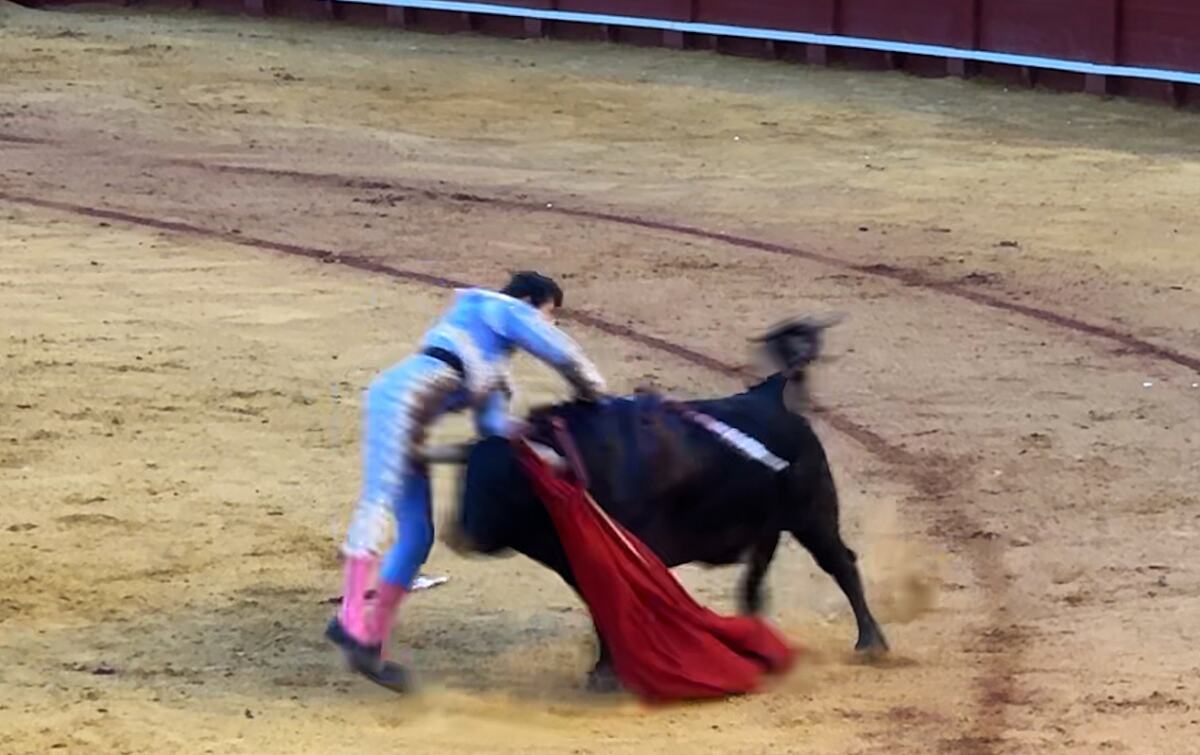 Andreas Roca Rey matador