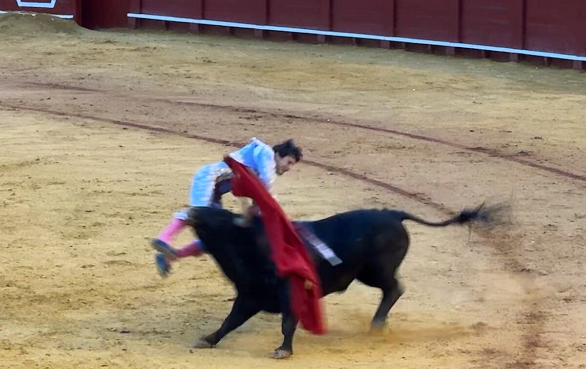 Andreas Roca Rey matador
