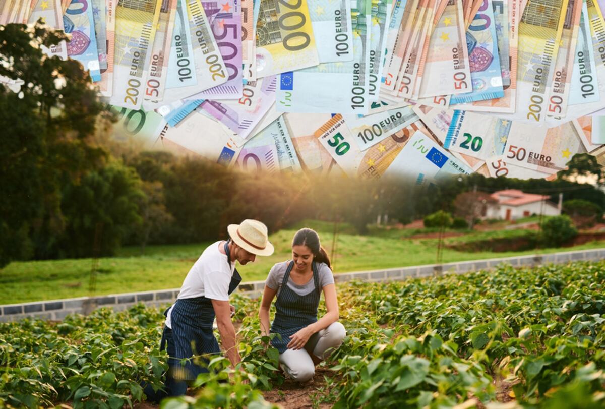 bašta baštovani evri