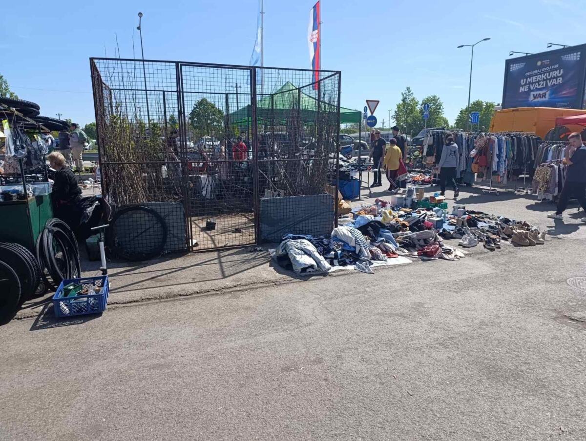 WhatsApp Image 2026-04-25 at 11.21.15.jpeg