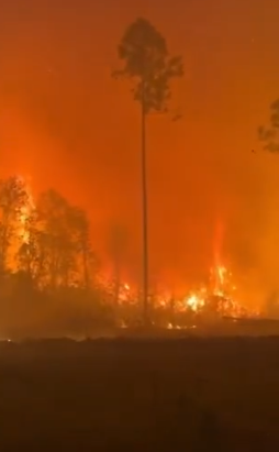 Screenshot 2026-04-25 115225.png