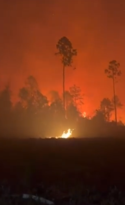 Screenshot 2026-04-25 115230.png