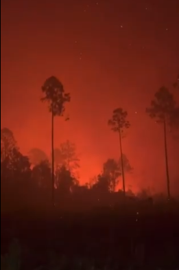 Screenshot 2026-04-25 115239.png