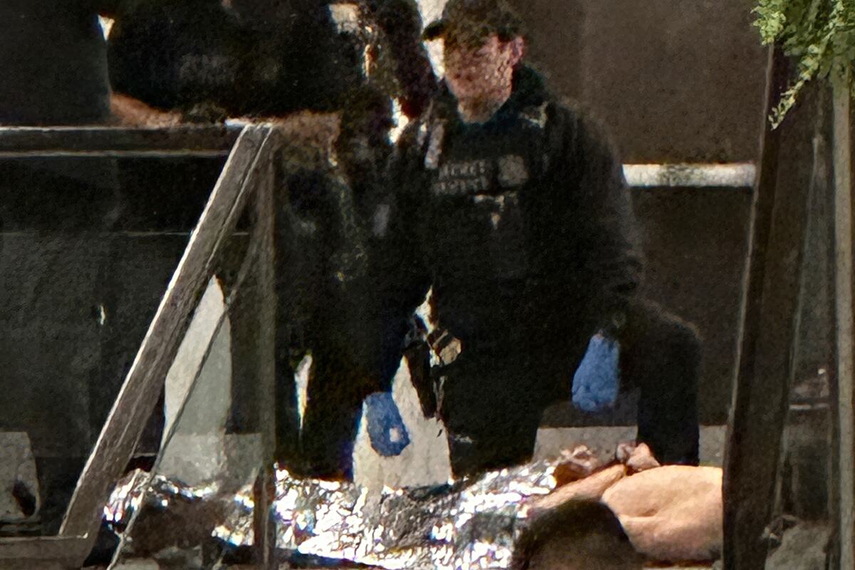 x AP Alex Brandon.jpg