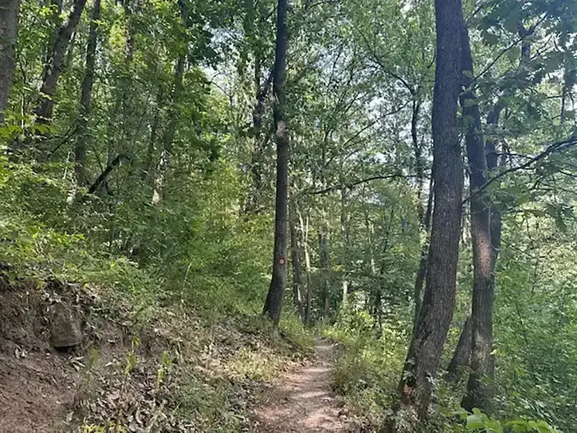 Staza patrijarha Pavla