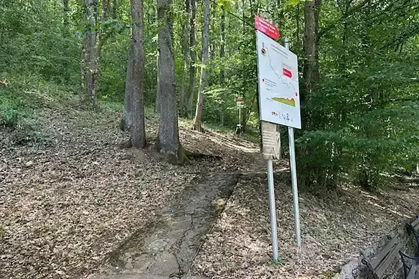 Staza patrijarha Pavla