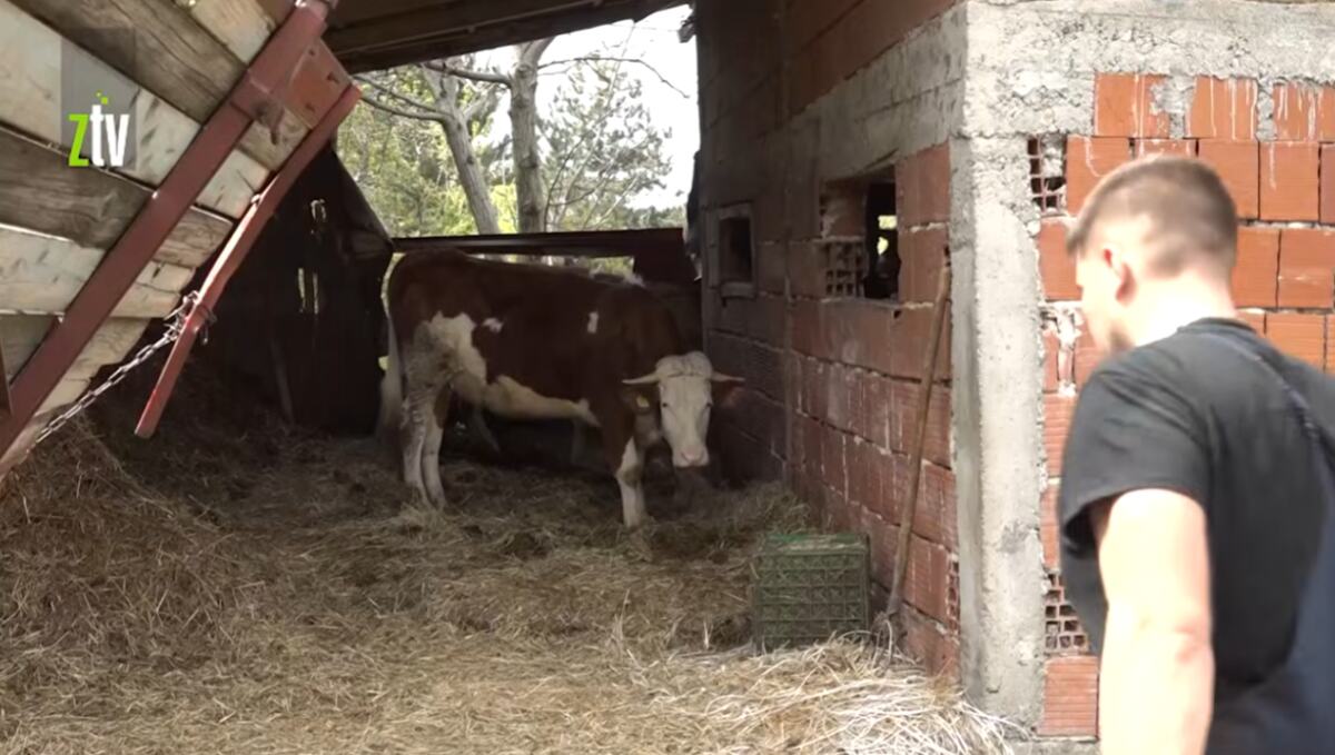 Screenshot 2026-04-29 130320.png