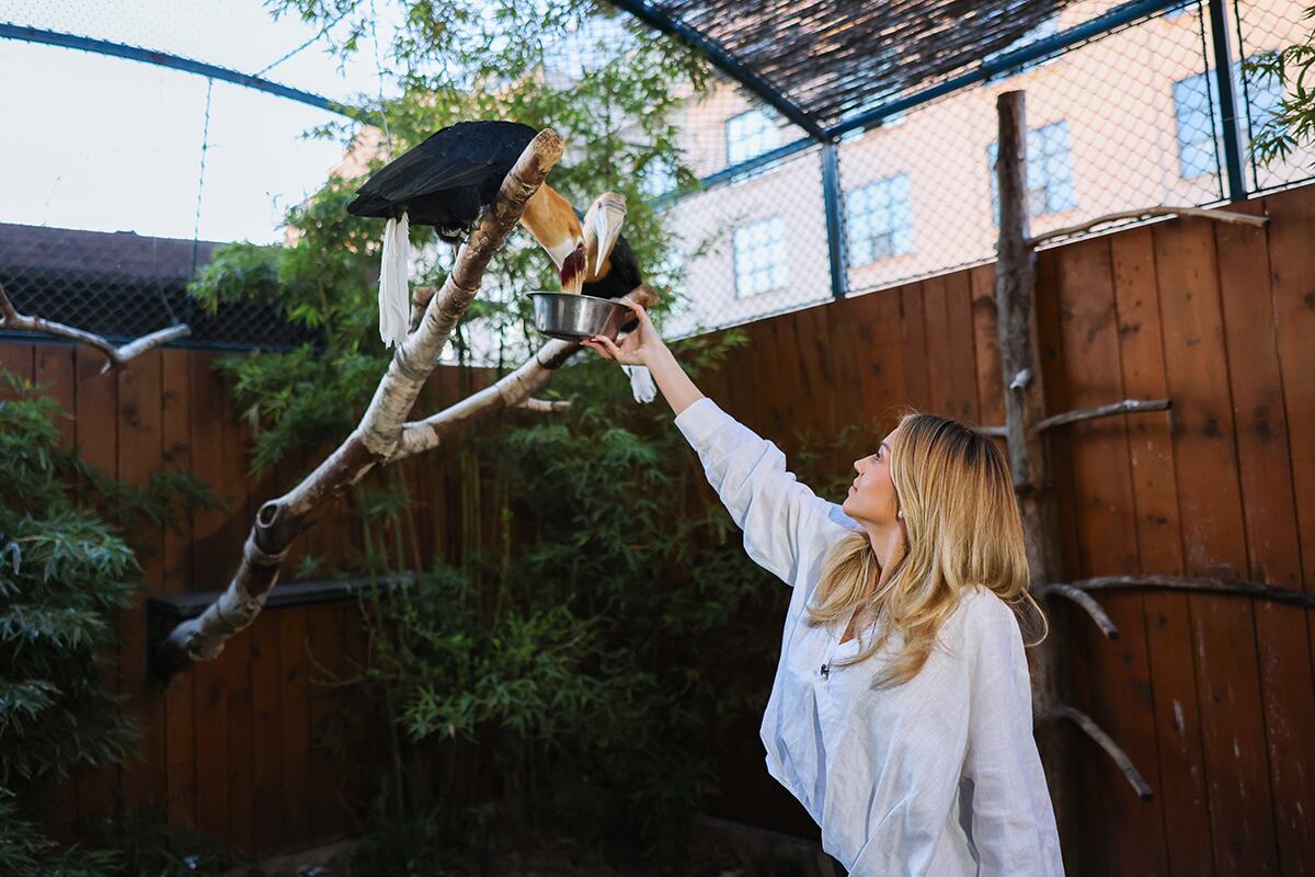 Anđela Ignjatović Breskvica ZOO Vrt (38).jpg