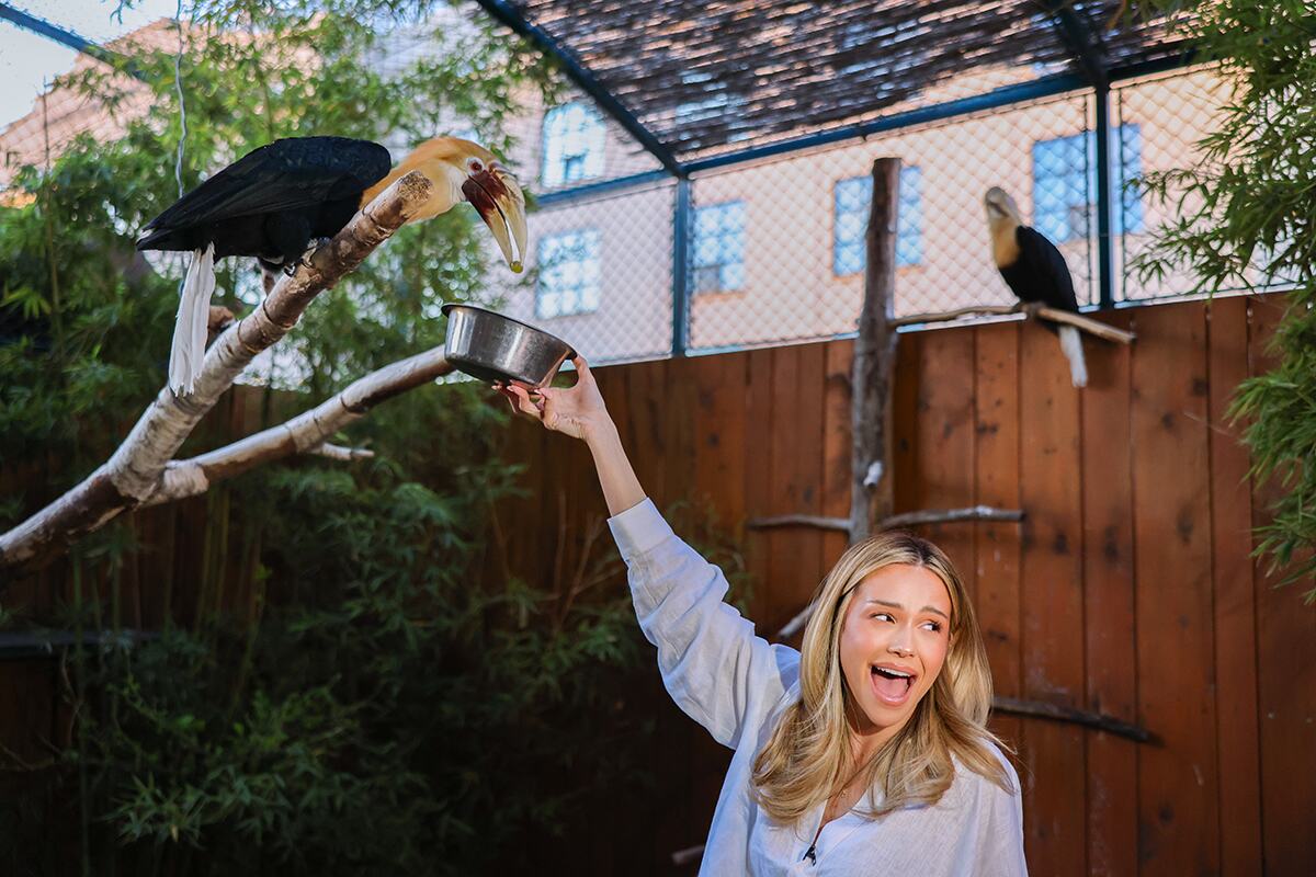Anđela Ignjatović Breskvica ZOO Vrt (37).jpg