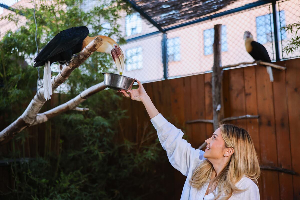 Anđela Ignjatović Breskvica ZOO Vrt (36).jpg