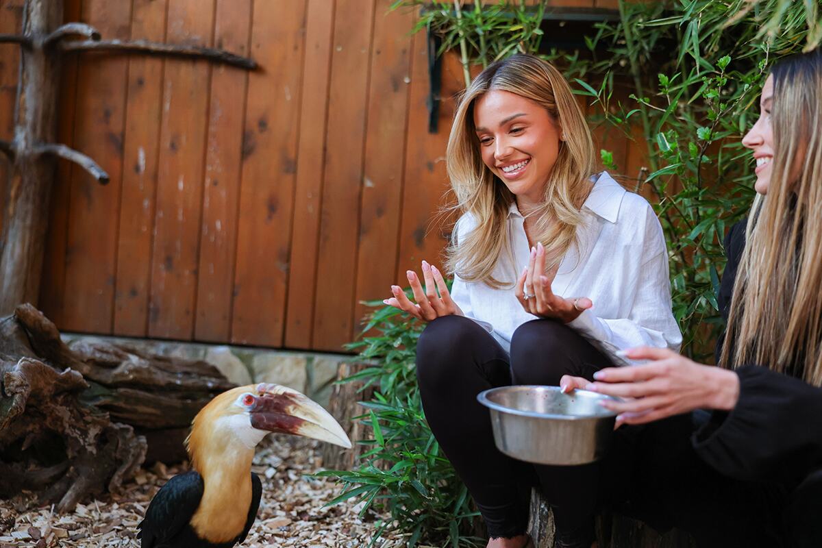 Anđela Ignjatović Breskvica ZOO Vrt (6).jpg