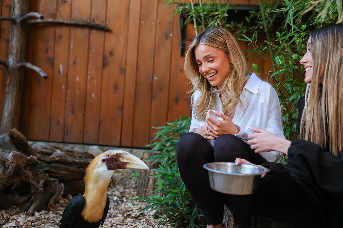 Anđela Ignjatović Breskvica ZOO Vrt (5).jpg