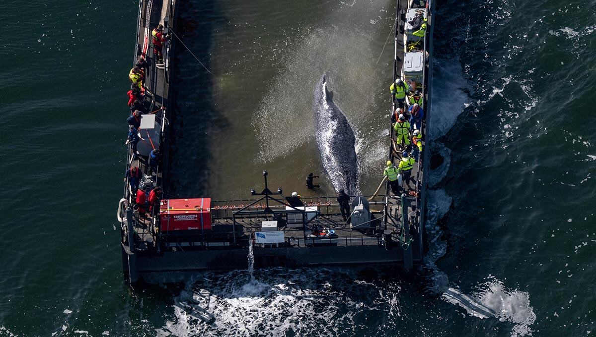 x06 AP Stefan Sauer.jpg