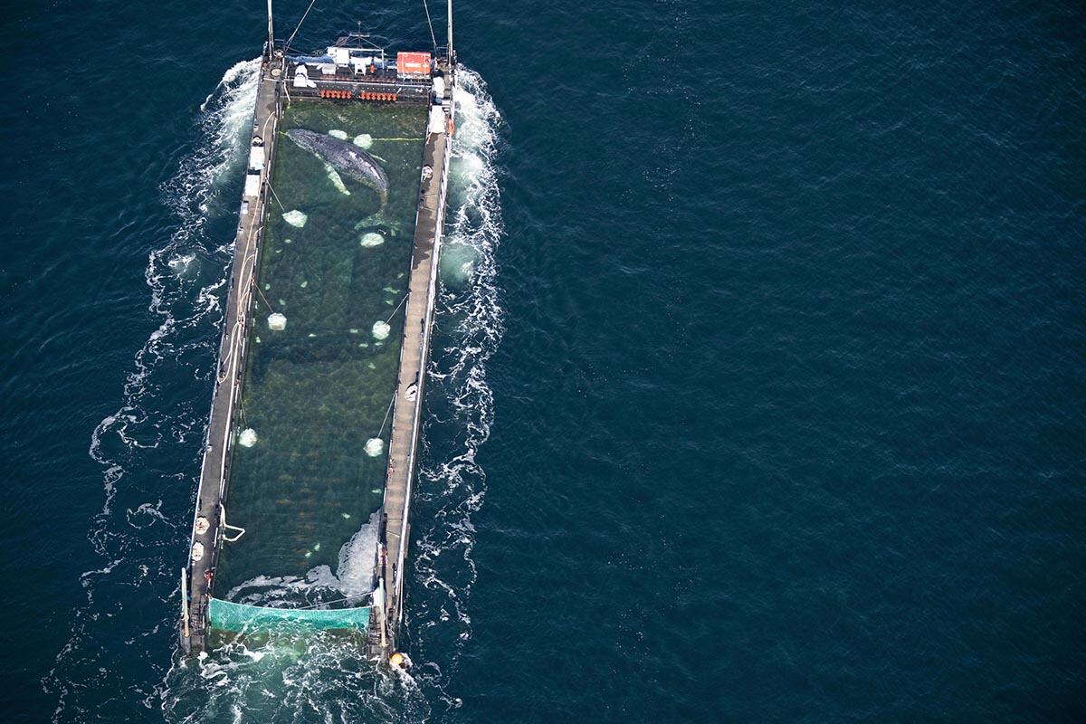 x03 AP Philip Dulian.jpg