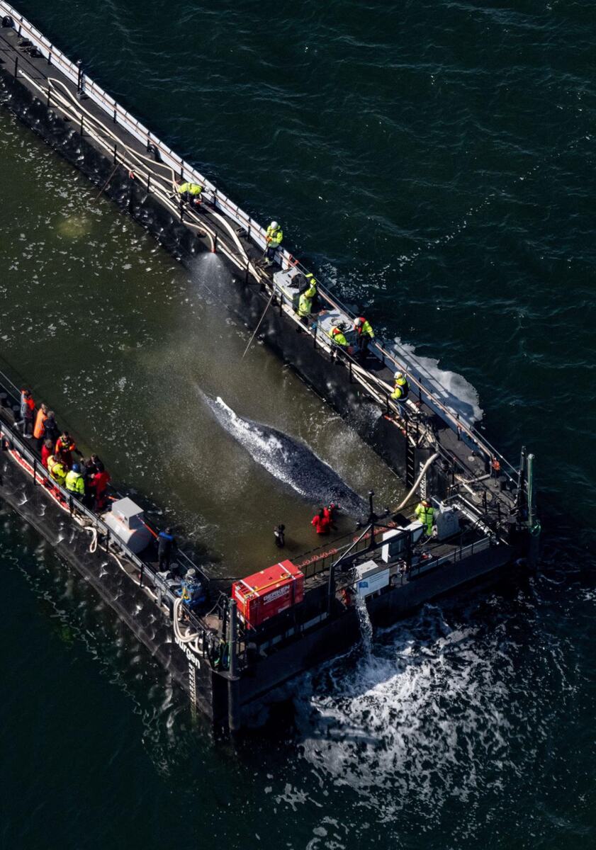 x01 AP Stefan Sauer.jpg