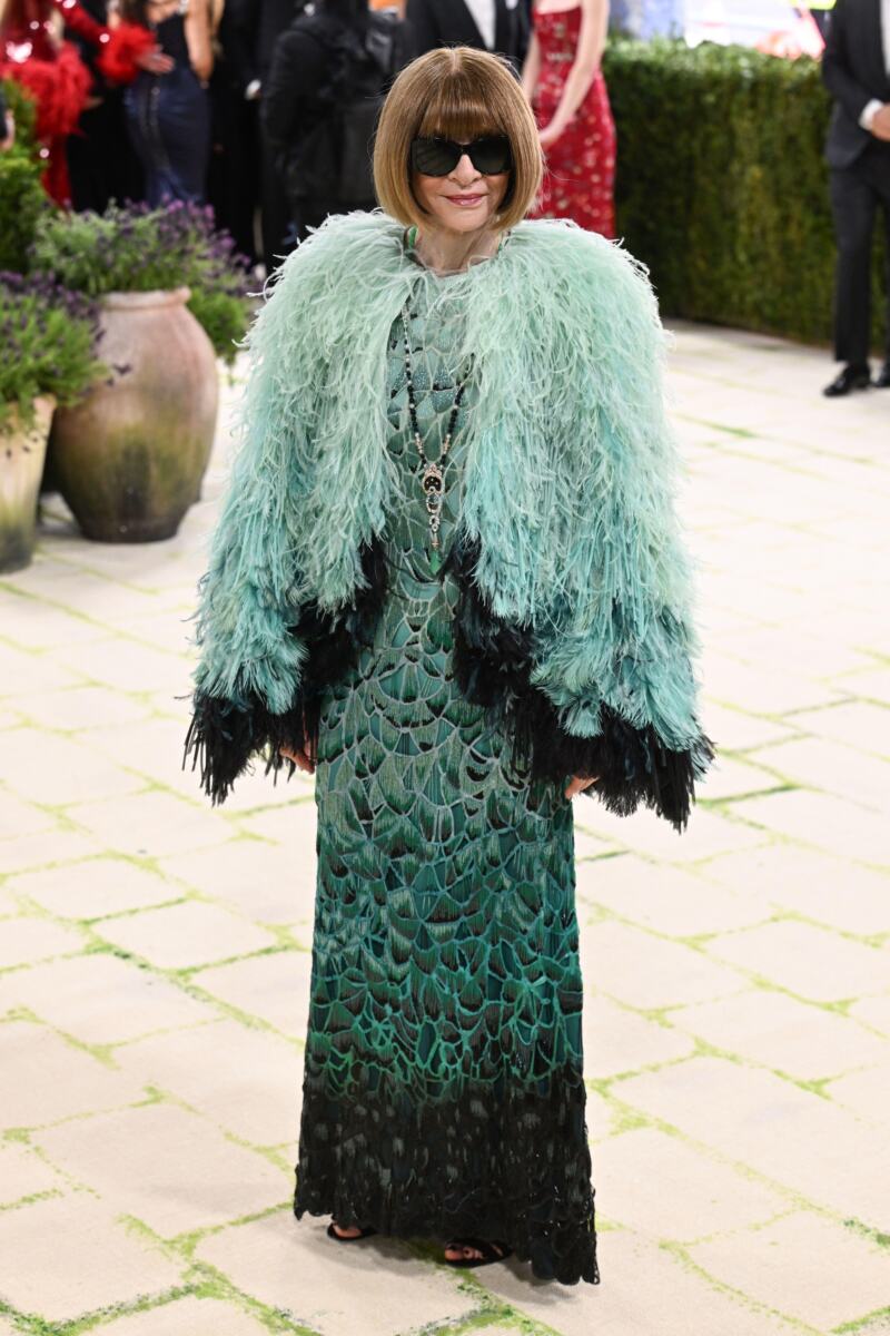 Ana Vintur, Met Gala 2026