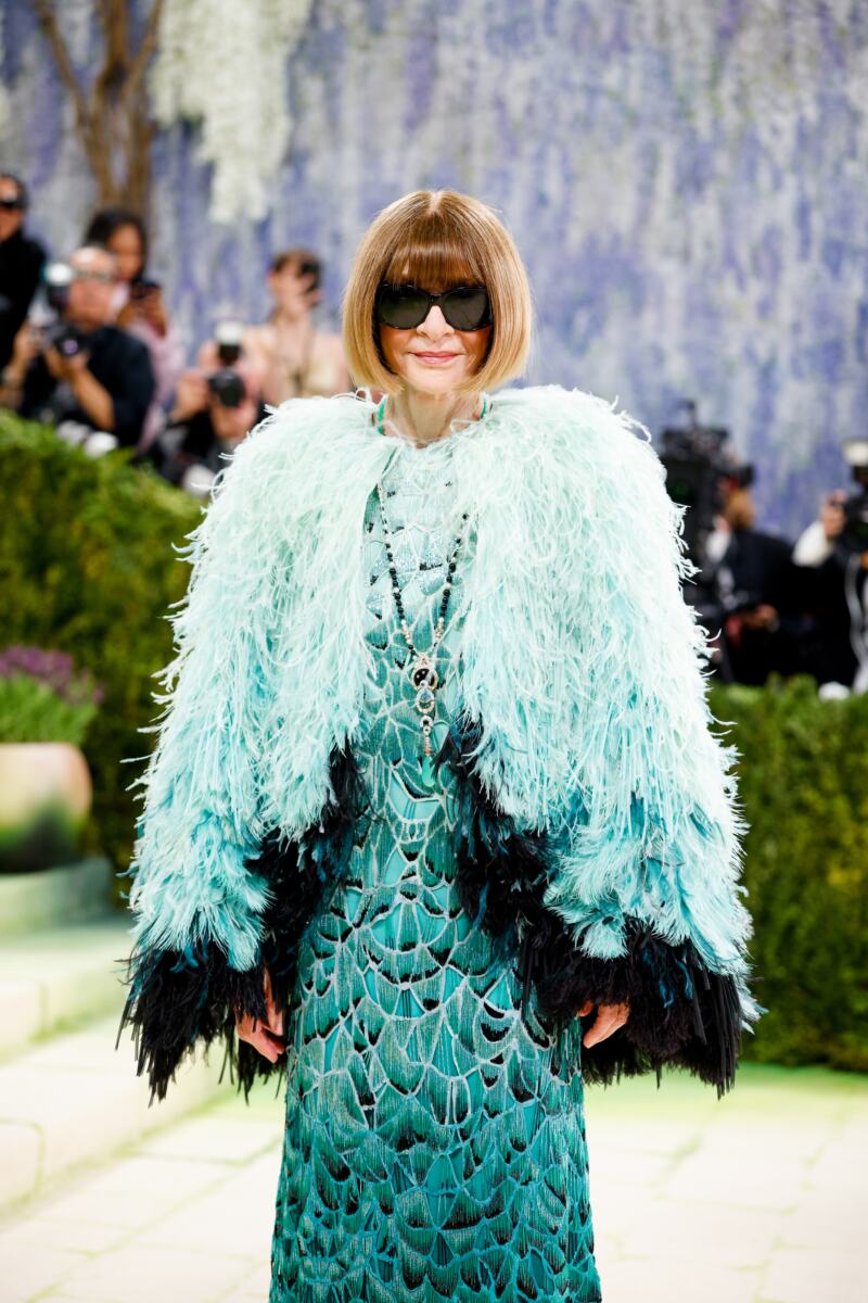 Ana Vintur, Met Gala 2026
