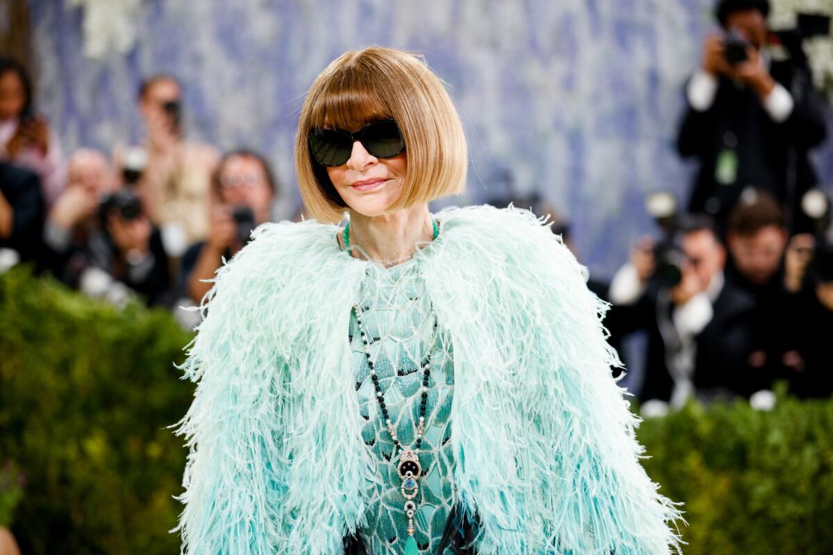 Ana Vintur, Met Gala 2026