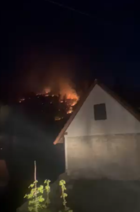 Požar Nikšić (2).png