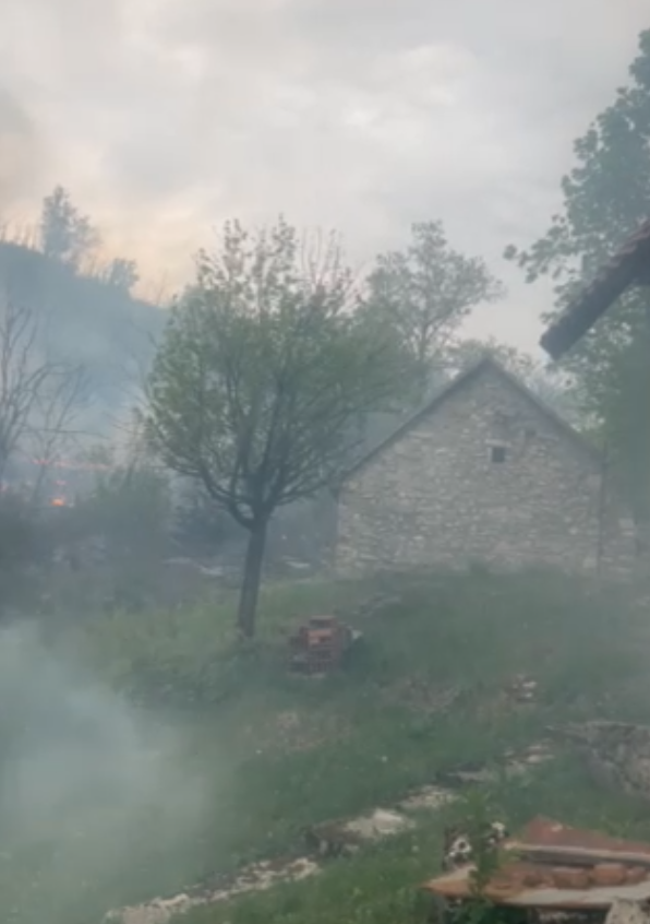 Požar Nikšić (3).png