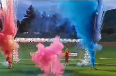 Slađa Nedeljković (2).png
