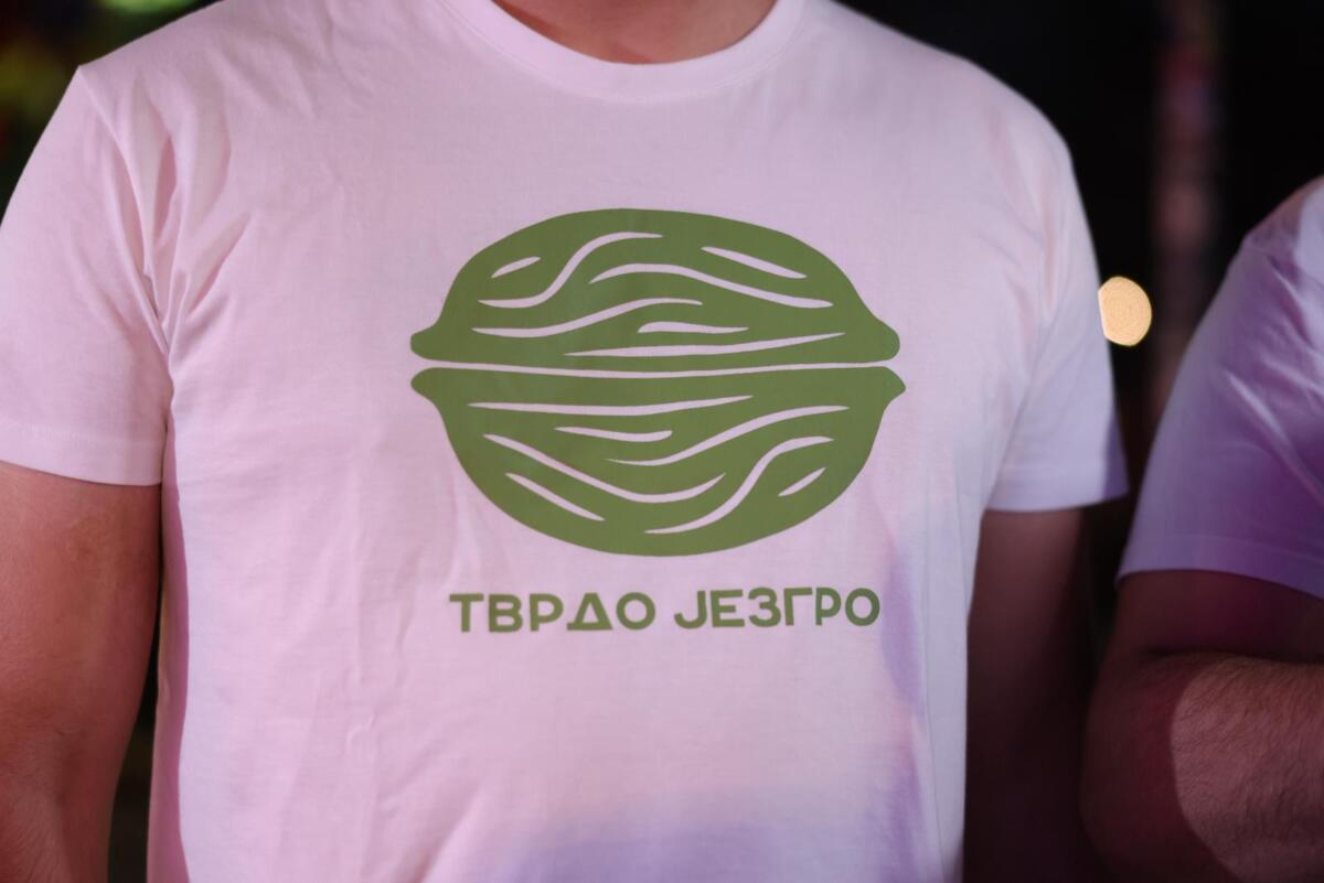 Ćacilend žurka SNS Pionirski park (5).jpeg