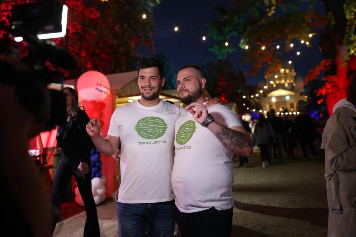 Ćacilend žurka SNS Pionirski park (2).jpeg