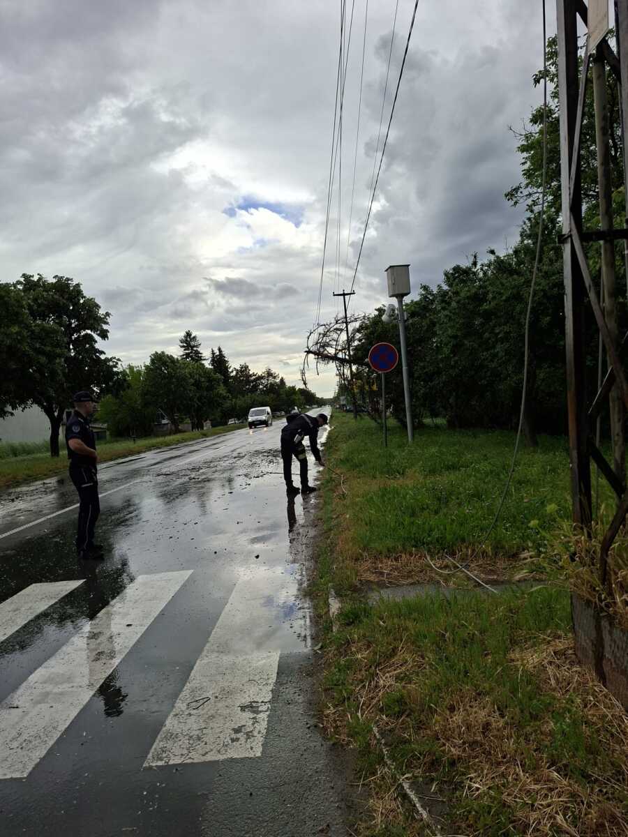 DRVO PALO I POKIDALO KABLOVE Nevreme Apatin (5).jpeg