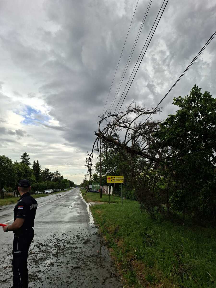 DRVO PALO I POKIDALO KABLOVE Nevreme Apatin (2).jpeg