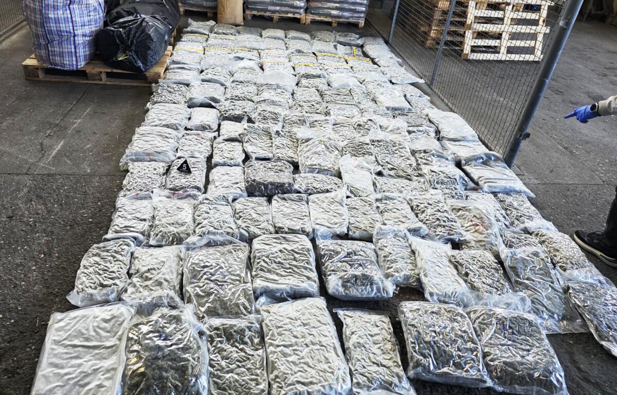 Marihuana 200 kilograma hapšenje  (10).jpeg