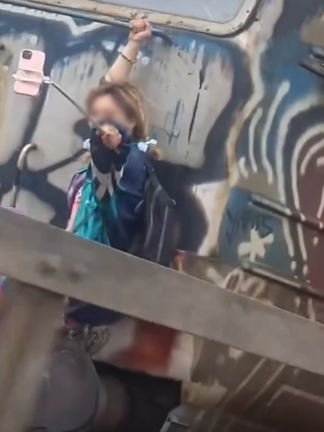 pančevački most voz devojka selfi (1).png