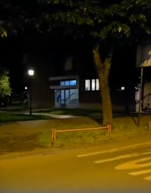 Obrenovac ubistvo mačeta (3).png