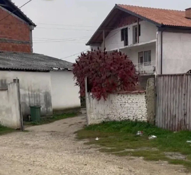 Rodna kuća Jane Todorović