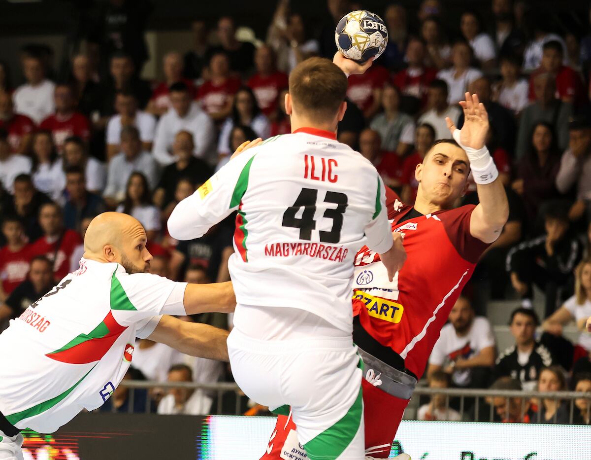 SERBIA-HUNGARY_11.JPG