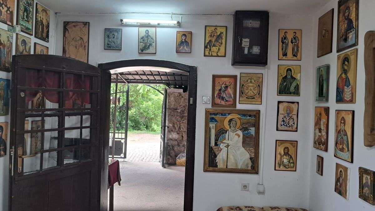 SVETAPETKA4.jpg
