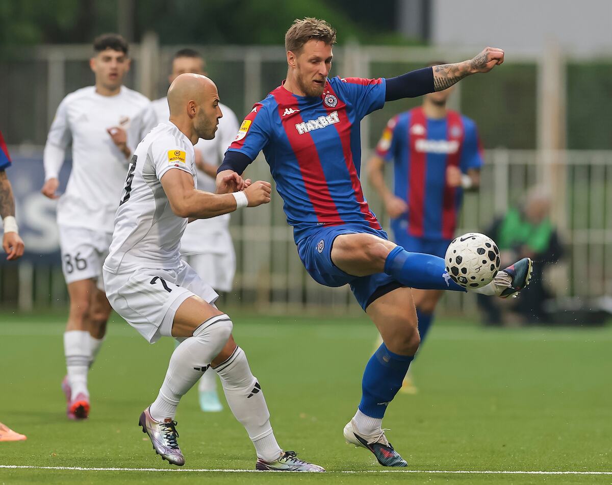 CUKARICKI-PARTIZAN_01.JPG