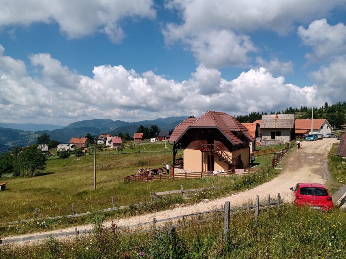 Tara-Sekulici.jpg