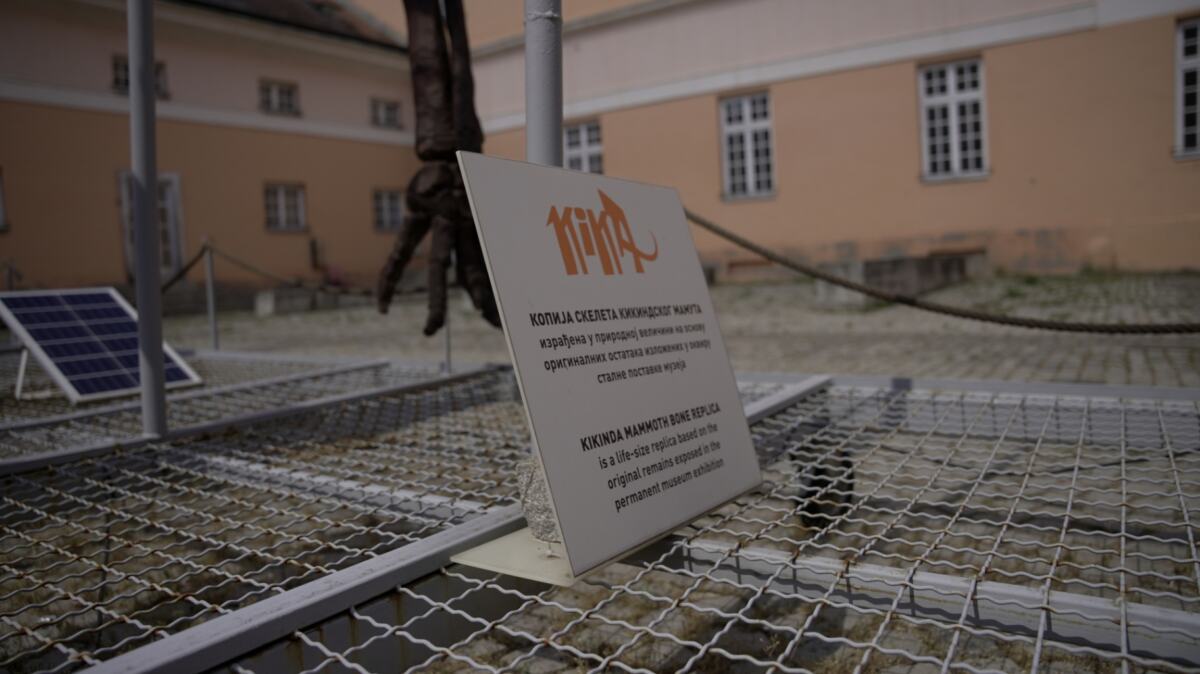 kikinda-mamutica-kiki-fotorina_4.JPG