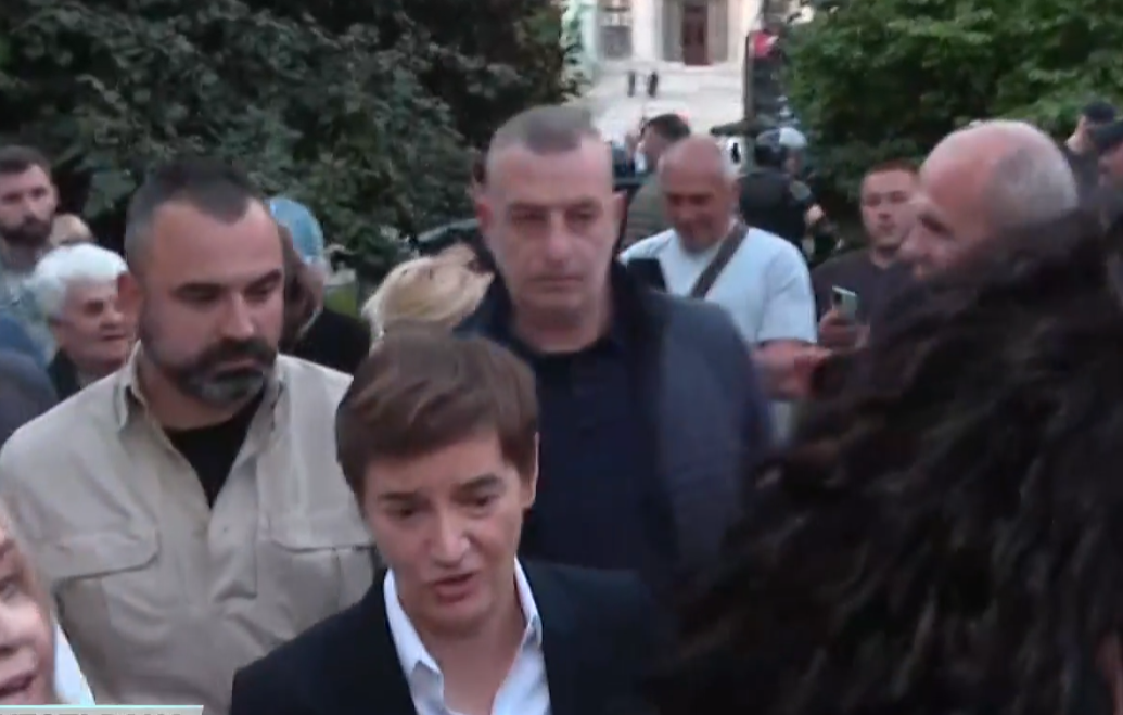 Ana Brnabić (3).png