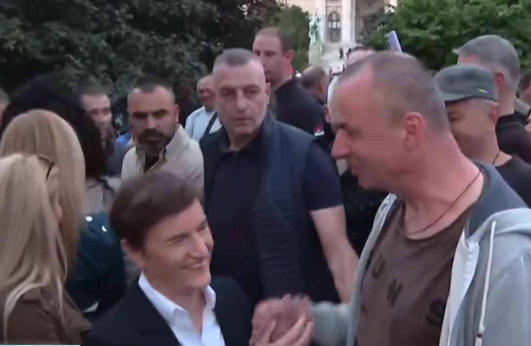 Ana Brnabić (4).png
