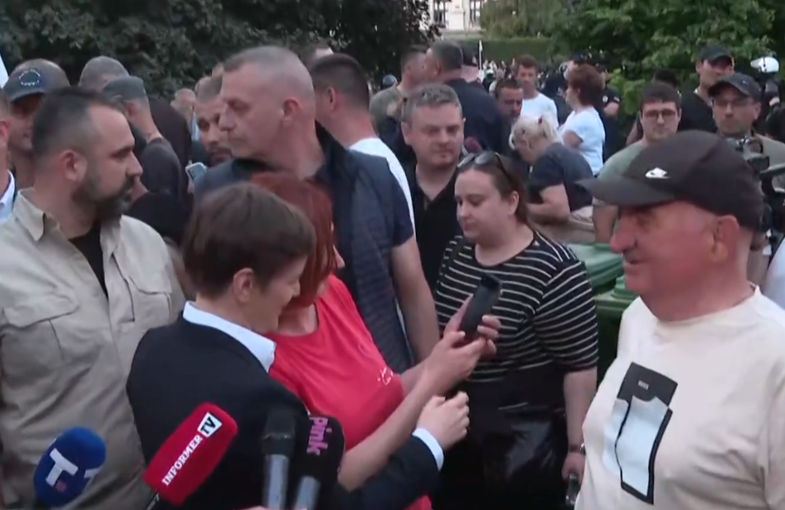 Ana Brnabić (5).png