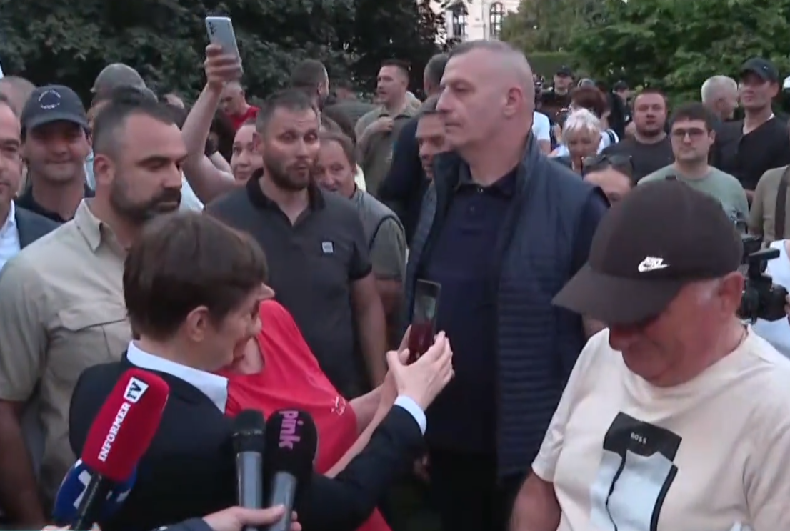 Ana Brnabić (6).png