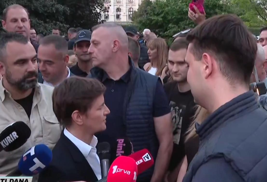 Ana Brnabić (8).png