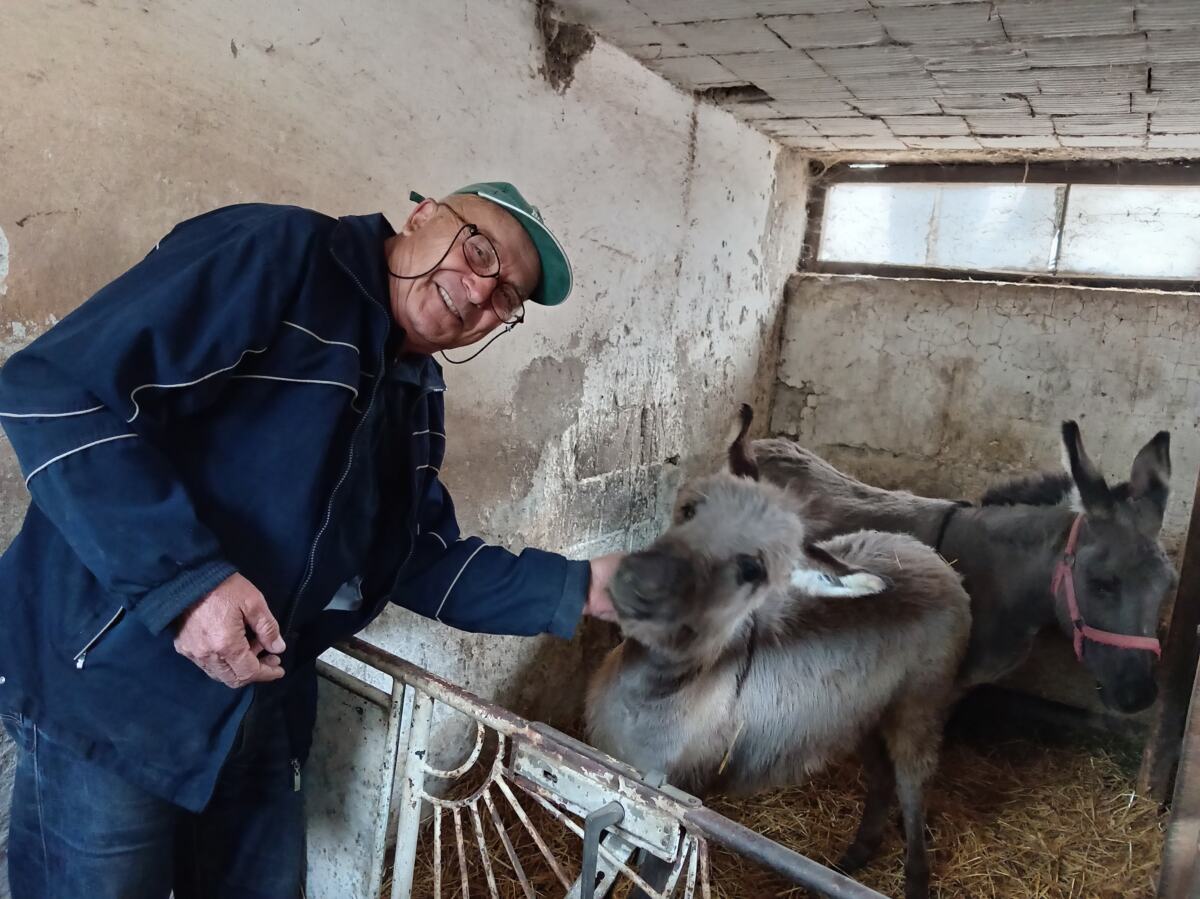 Farma u Kukljinu 1.jpg