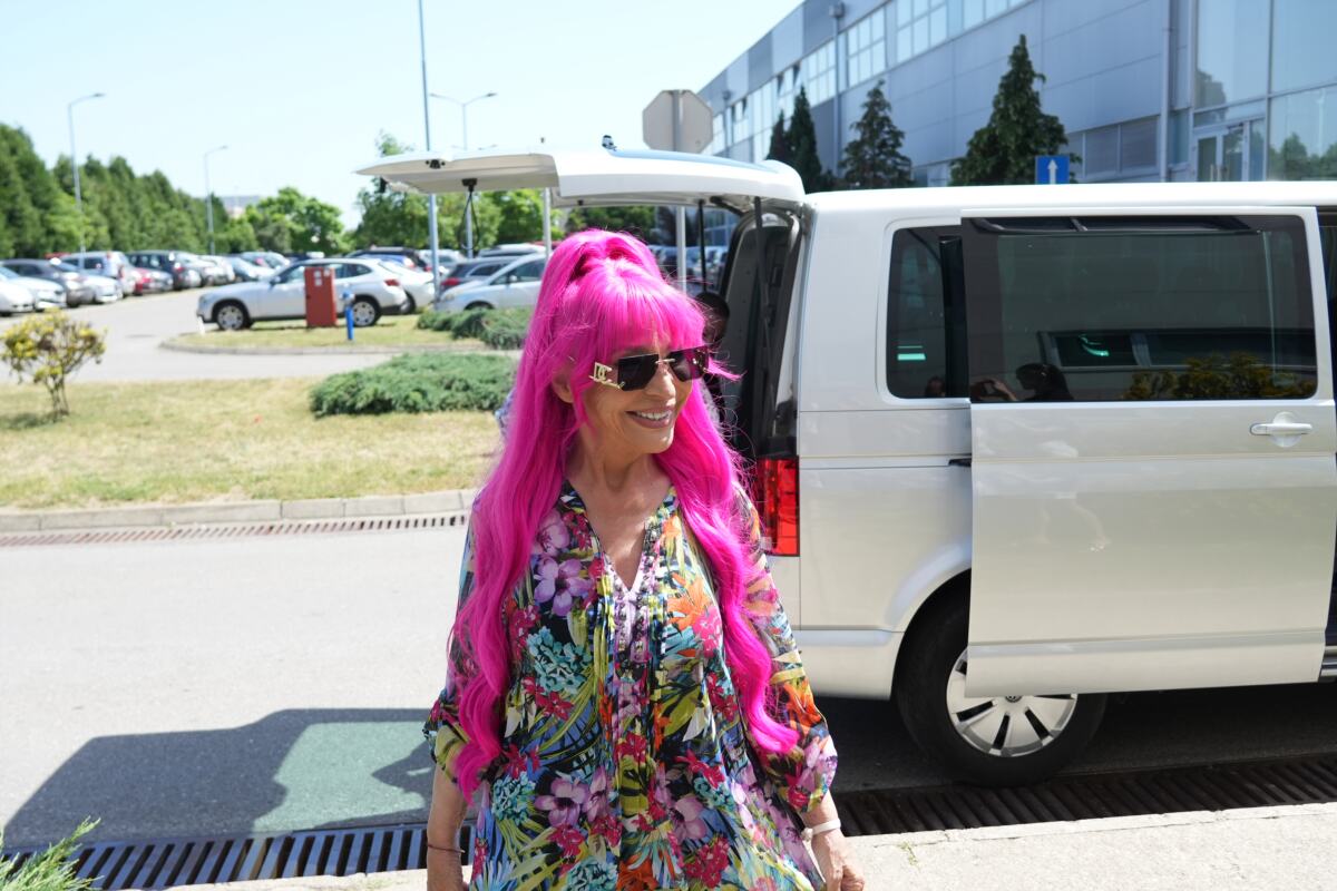 pinkove_zvezde_27052026_0058.JPG