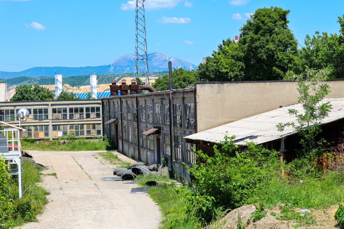 SZM_6996.jpg